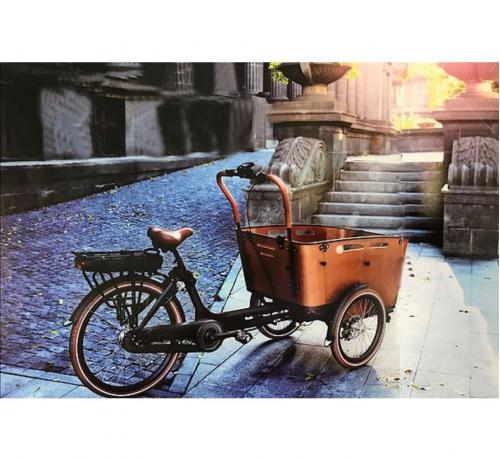 /image/data/product/fietsen/bakfietsen/vogue-carry-3-elektrische-bakfiets-7v-481wh-zwart.jpg